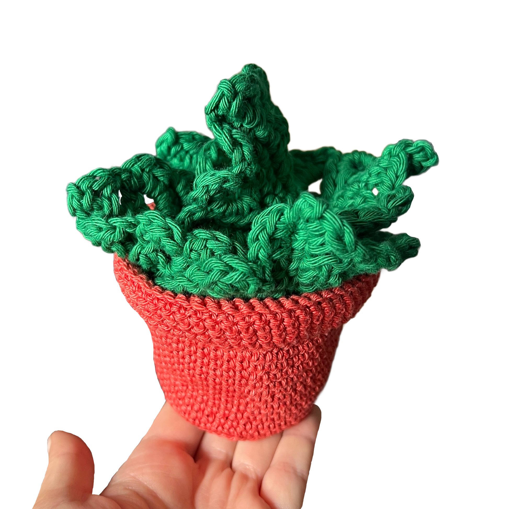 crochet monstera coaster pattern Crochet Monstera Leaf Coaster set